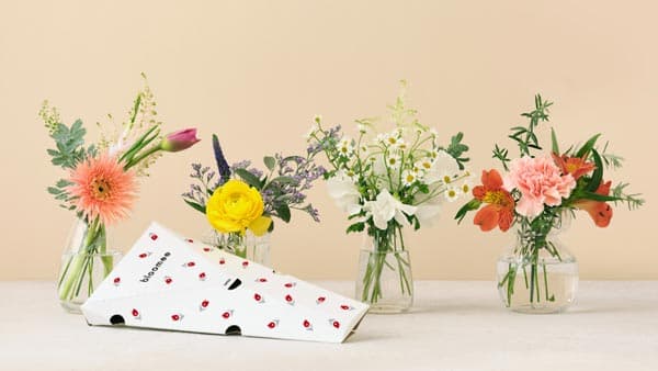 花のサブスク「ブルーミー」が「京都生花」と提携開始　ユーザーライク