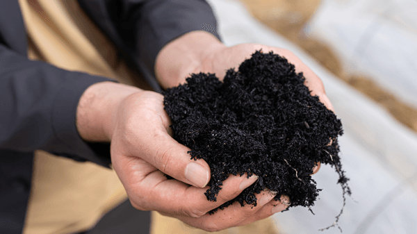 Green Carbonの稲作コンソーシアムに加盟　バイオ炭・水田の中干し延長のクレジット創出で連携　TOWING