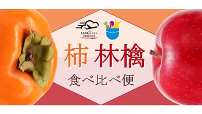 関係人口の創出へ　日本航空と包括業務提携を締結　雨風太陽