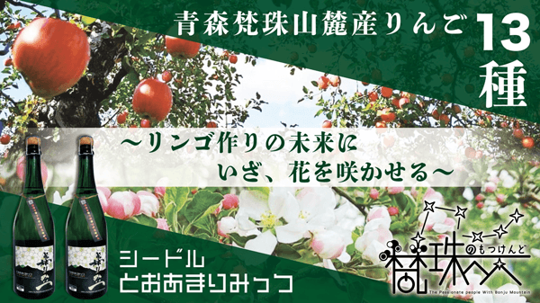 五所川原のリンゴ農家と産地を守る "幻のリンゴ"でシードルなどCFで先行販売
