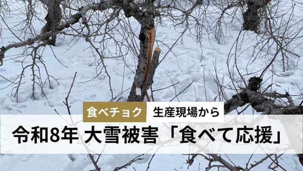 令和8年大雪被災生産者の農産物を「食べて応援」特設ページ新設　食べチョク