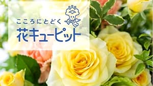 「花キューピット」のeギフト、gifteeで販売開始