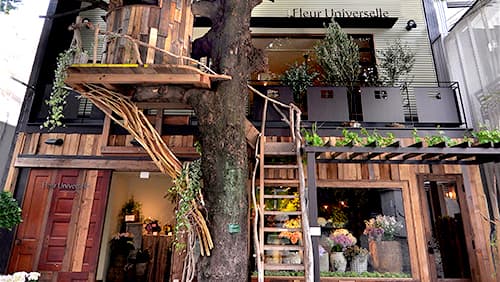 リモートワークの社員に花を贈る　会社との絆を高めるサービス開始