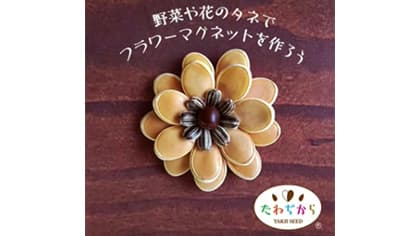 種で作るフラワーマグネットの作り方を伝授　タキイ種苗