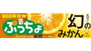 熊本県五木村産　幻のみかん「くねぶ」のぷっちょ登場