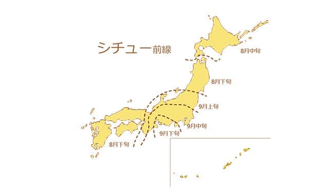 今年のシチュー前線は？秋の「売れ始め前線」を発表