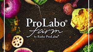 無農薬野菜「プロラボファーム」が産直開始