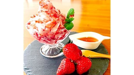 いちご狩り観光農園がクラウドファンディング実施中　プロモンテファーム