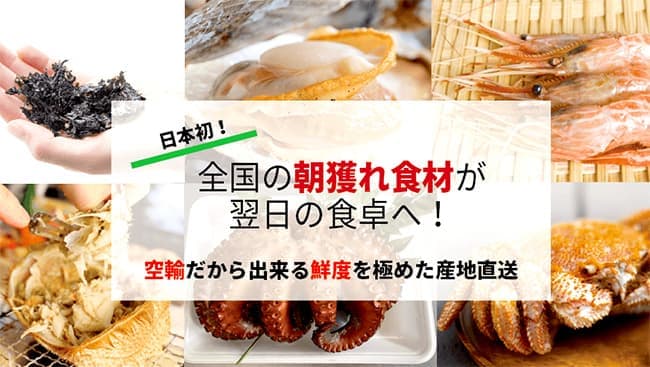 【送料無料】朝採れ食材を１日かけずに食卓へ　エドノイチ