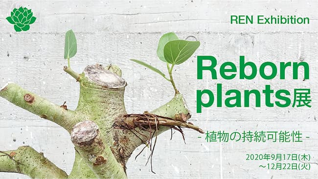 植物の下取りと再生「リボーンプランツ」を展示販売　REN