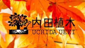 樹木農家による新サービス　旬の樹木デリバリーサービス開始　Fuzei