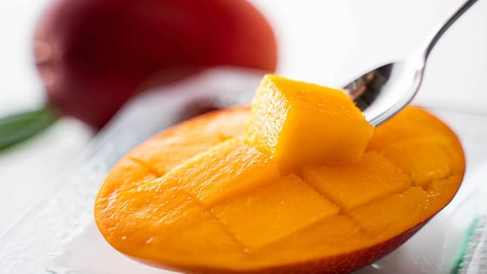 宮崎県新富町ふるさと納税の返礼品に「訳あり」マンゴー登場　こゆ財団