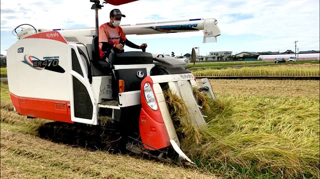 「アルビ米」の新米を発売　新潟クボタ×アルビレックス新潟