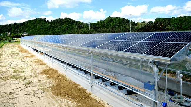 太陽光発電システム搭載「次世代農業用ソーラーハウス」 千葉県睦沢町に建設