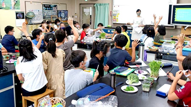 都内小学校でスプラウトの出前授業　村上農園
