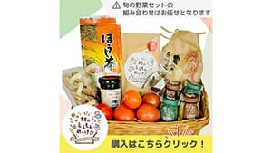 5000円相当の村産品　数量限定・送料込1000円で予約販売　京都・南山城村