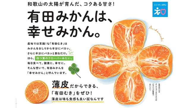 「有田むき」の「幸せみかん」本格出荷　ＪＡありだ共選協議会