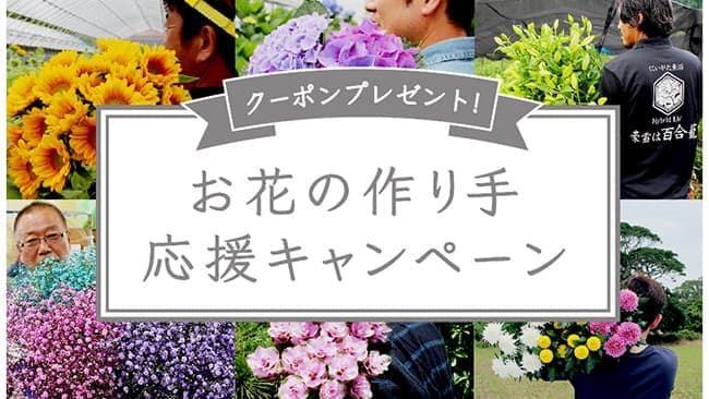 新鮮な花を30%OFFで購入できるクーポンプレゼント　よいはな