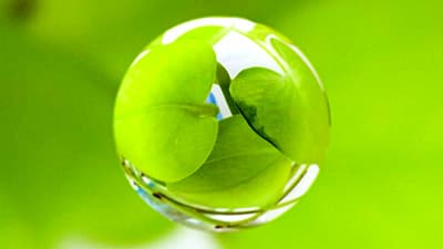 「気候変動への適応」めざす神奈川県初のグリーンボンドへ投資　フリーデン