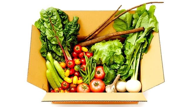 青森の農家が作る「お野菜ボックス」CAMPFIREで先行限定販売