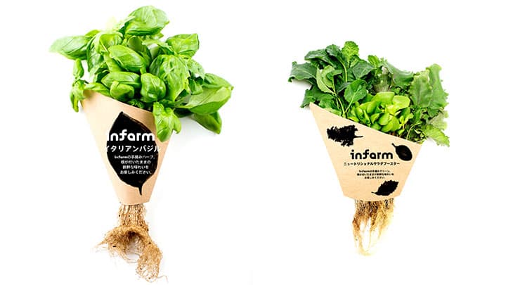 次世代型屋内垂直農法「インファーム」の野菜　紀ノ国屋で販売　JR東日本