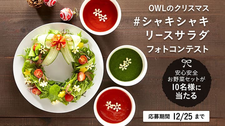 クリスマスに「#シャキシャキリースサラダ フォトコンテスト」開催　アウル