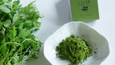 植物工場で栽培する完全無農薬よもぎ使用　無添加「よもぎ石鹸」発売