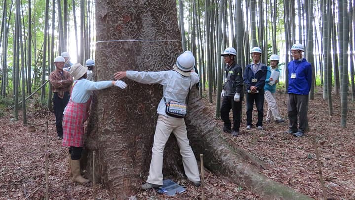 18年間の緑の活動で「ちば里山アワード」大賞を受賞　松戸市