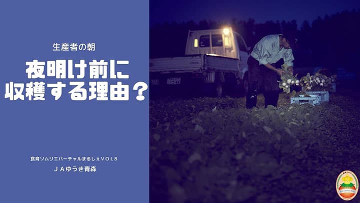 食べて生産者を応援「食育ソムリエ」が直売所からライブ配信　ＪＣＡ