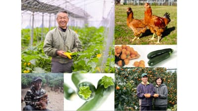 「宮崎さん」は無料　生産者応援で宮崎県が「パワーサラダ」をジャック