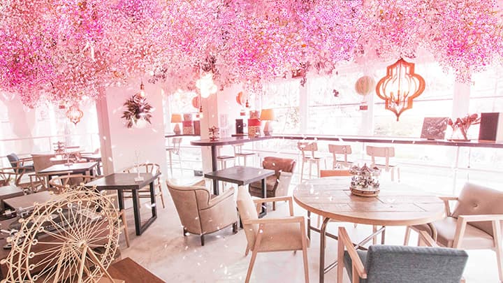 熊本産カスミソウと山形の啓翁桜で春を演出　代々木公園カフェ「TREE by NAKED」