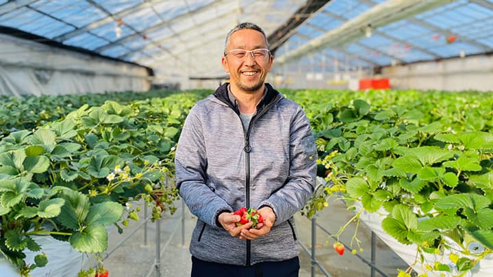 広島県 道の駅支援プロジェクト「おうちで買エール」いちご農家を応援