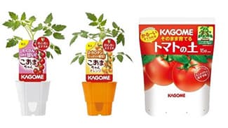 高輪ゲートウェイ駅でトマト苗と土を無料配布　JR東日本