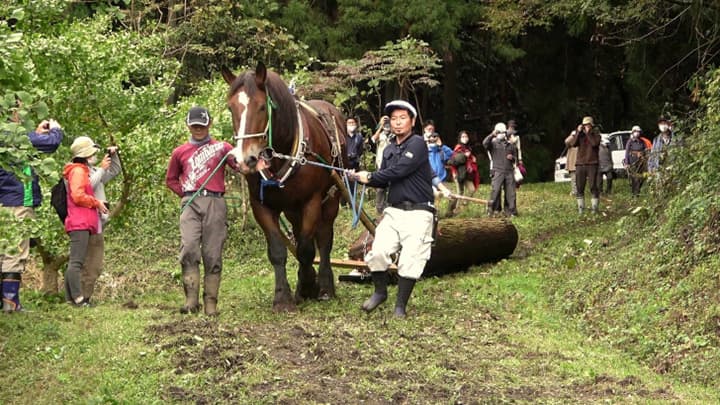 持続可能な社会づくりを応援「地域づくり基金」15団体へ助成　パルシステム