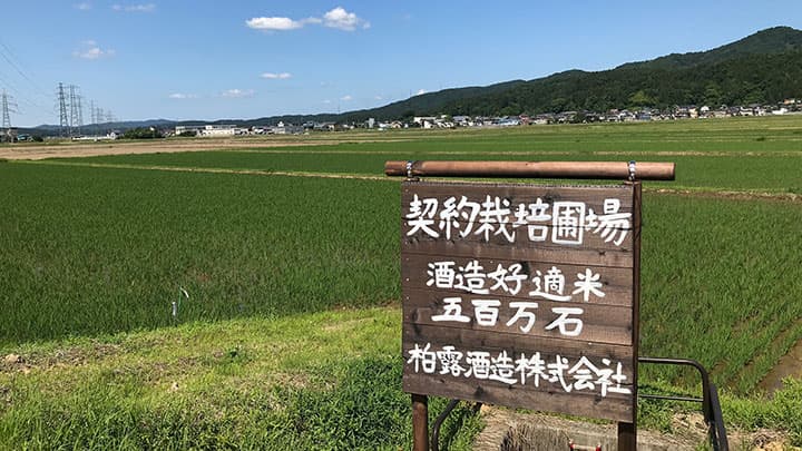 「さんずい　純米大吟醸」2商品を新発売　柏露酒造