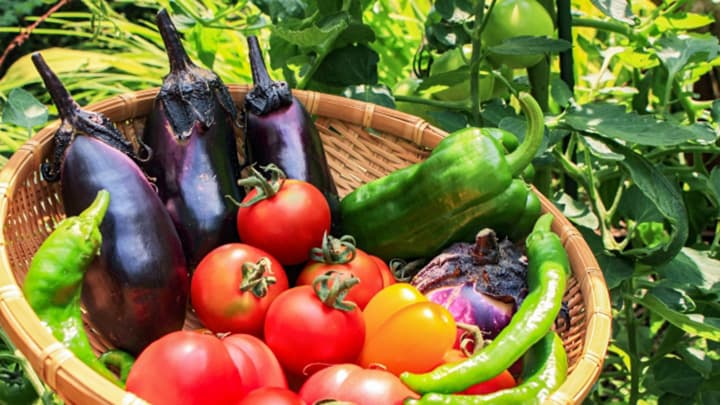 農水省所管の官民ファンドから茨城もぎたてファクトリーの株式取得　ヤマダイ食品