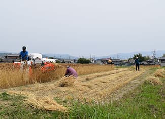 農薬・肥料不使用　自然栽培小麦の「ネイチャーピザ」提供　キッチンコドモ