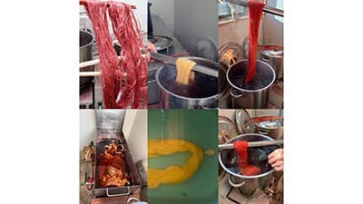 日の丸の「赤」の源流を知る「日本茜展」開催　日本茜を拡げる会