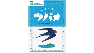 「ようこそツバメ」パンフレットを無料プレゼント　日本野鳥の会