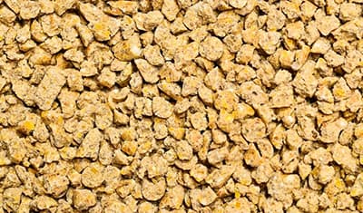 複合飼料市場　2027年まで4.4％のCAGRで成長を予想