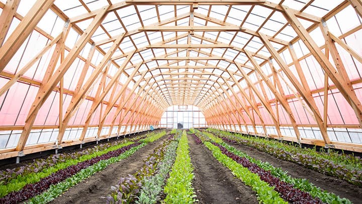 陸前高田で日本最大級の有機農業テーマパーク開業　ワタミオーガニックランド