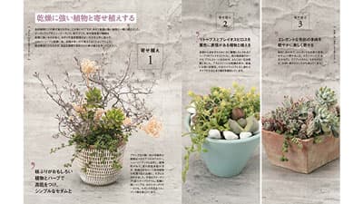 初心者から愛好者まで楽しい多肉植物ライフを「よくわかる多肉植物」発売