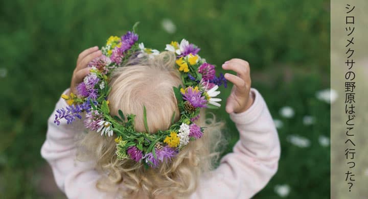 秋田の花き農家が、体験型ガーデンをつくるプロジェクトCFで実施