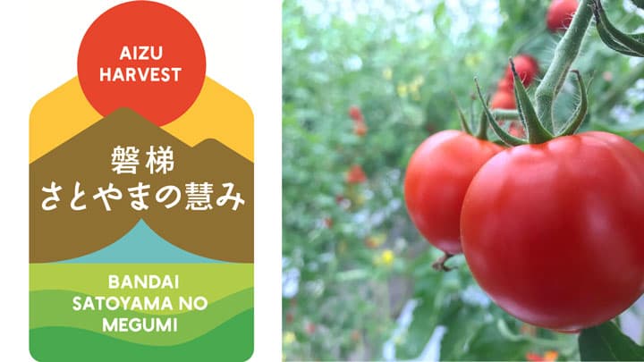環境保全型農業による新ブランド「磐梯さとやまの慧み」誕生　福島県磐梯町