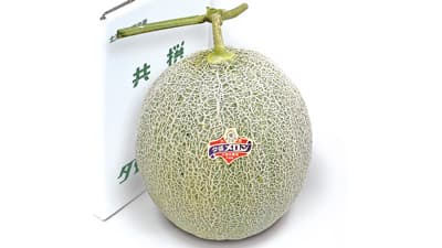 青果の夕張メロンが登場「夏のおいしい北海道展」JR京都伊勢丹