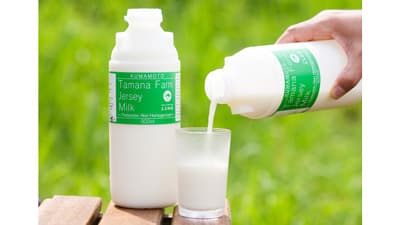 熊本発　1日30本数量限定の「グラスフェッド牛乳」発売開始