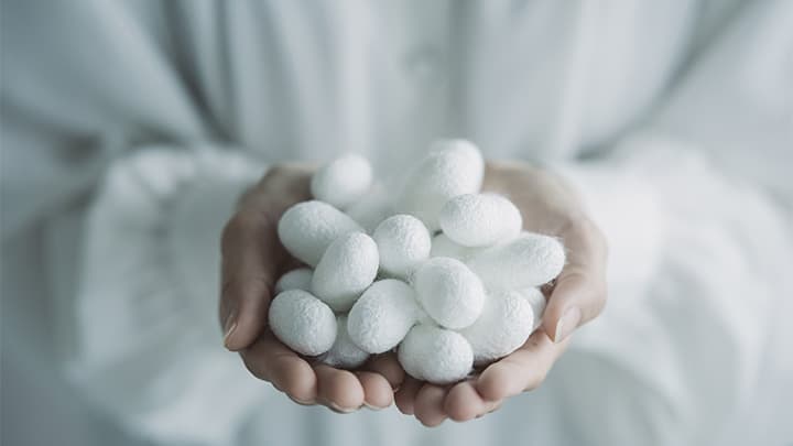 国産オーガニック生糸「やまがシルク」の白無垢レンタル開始　高見