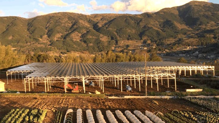 ソーラーシェアリングで「原木しいたけ」を栽培　翔栄クリエイト