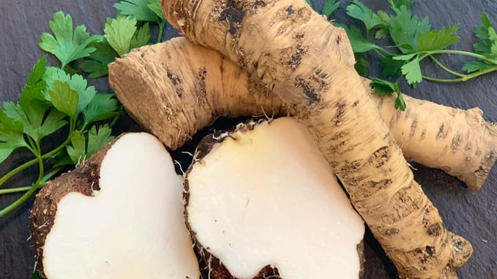 規格外野菜のEC販売を開始　ＪＡ十勝池田町の野菜を販売　Farch