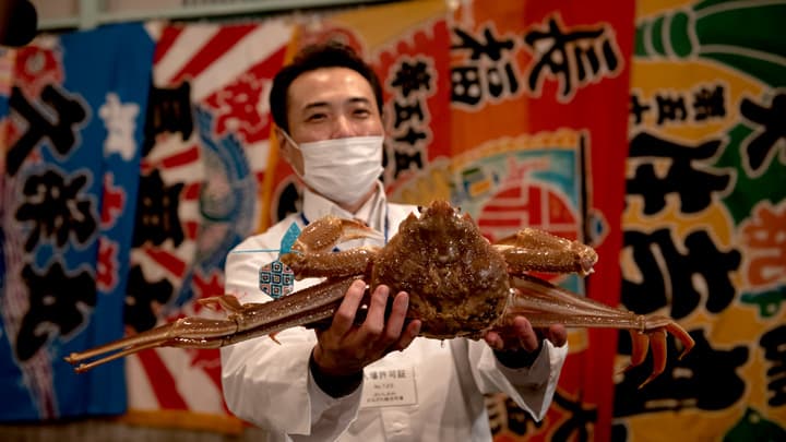 石川県産加能ガニ「輝」デビュー　初セリで500万円で落札　ＪＦいしかわ